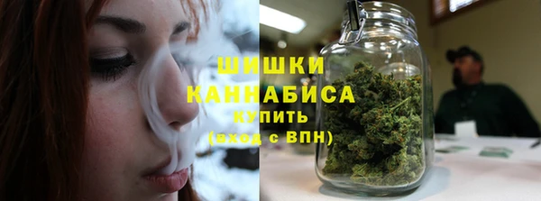 трава Вязьма
