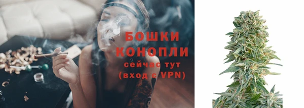 трава Вязьма
