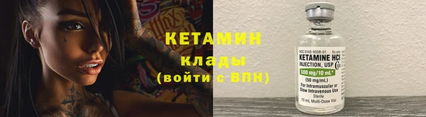 трава Вязьма