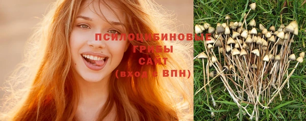 эйфоретик Вязники