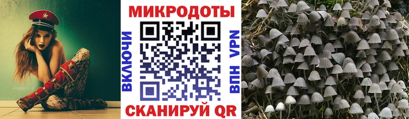 Купить где  Боготол  Галлюциногенные грибы прущие грибы 